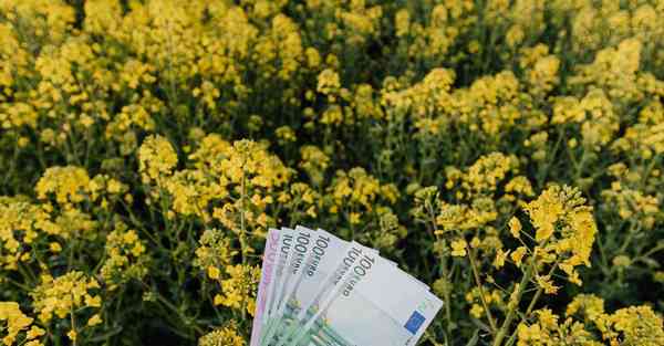 艾克智能清洁机器人 艾克智能清洁机器人怎么样