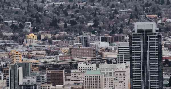 税收大数据内部管理制度的重要性