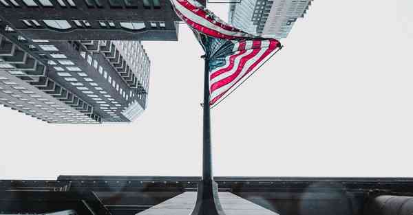 哈智智能机器人早教