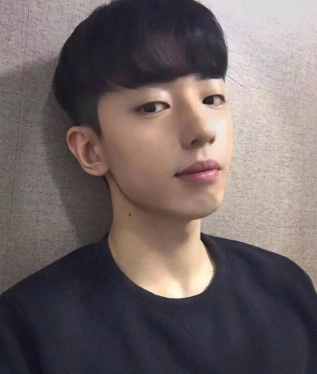 索纯苑梅