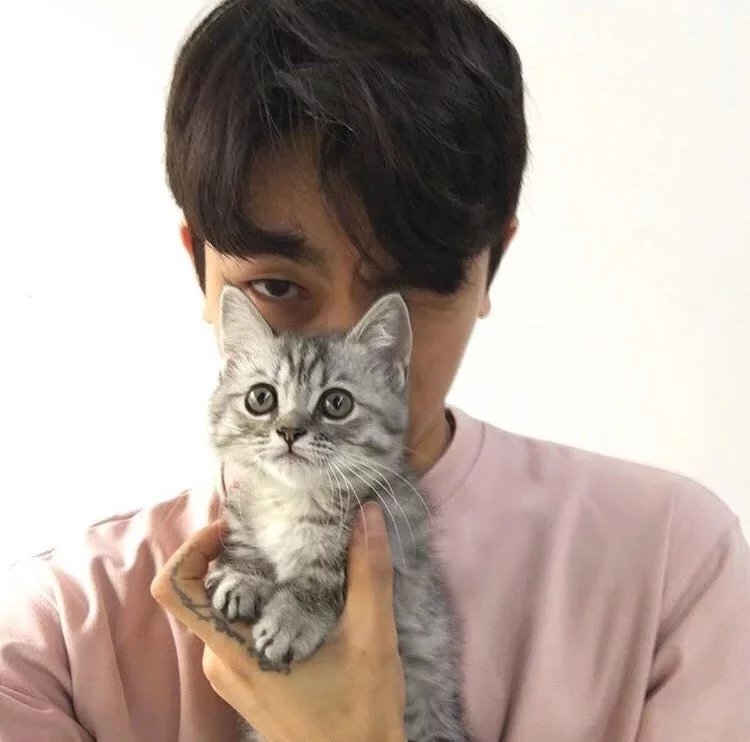 戴妮娜宇