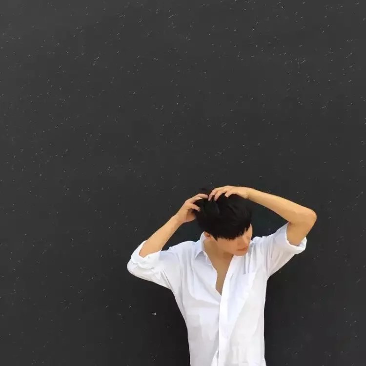 步海菁叶