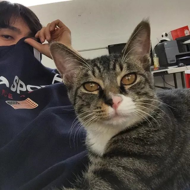 倪娴琴鸿