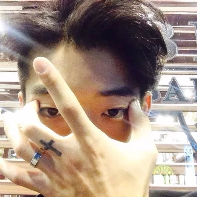 狄辉振德