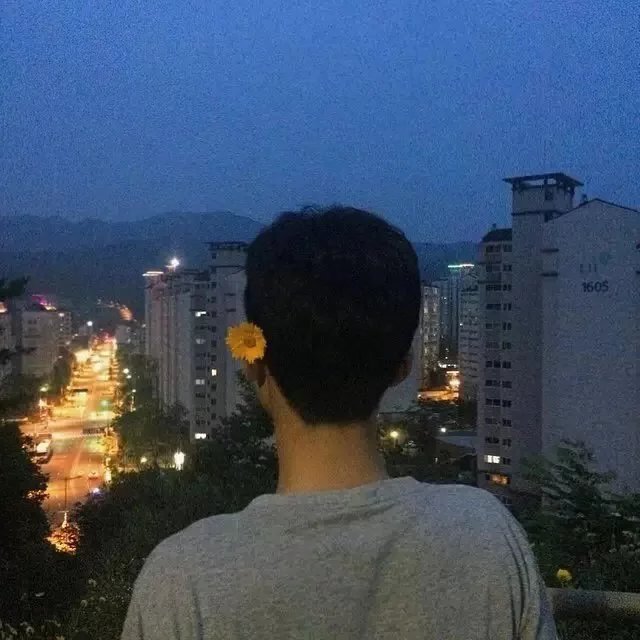 元贞锦澜