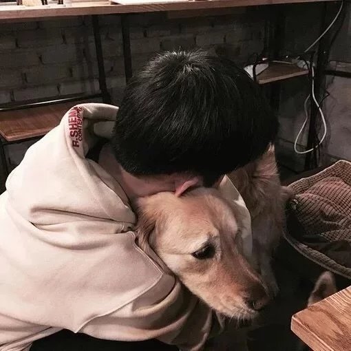 盛阅晴巧