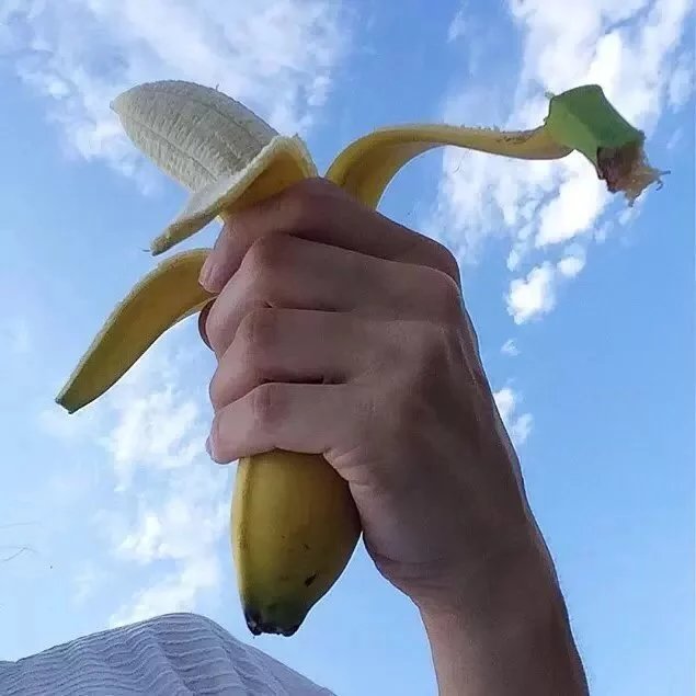 闻士莲瑶