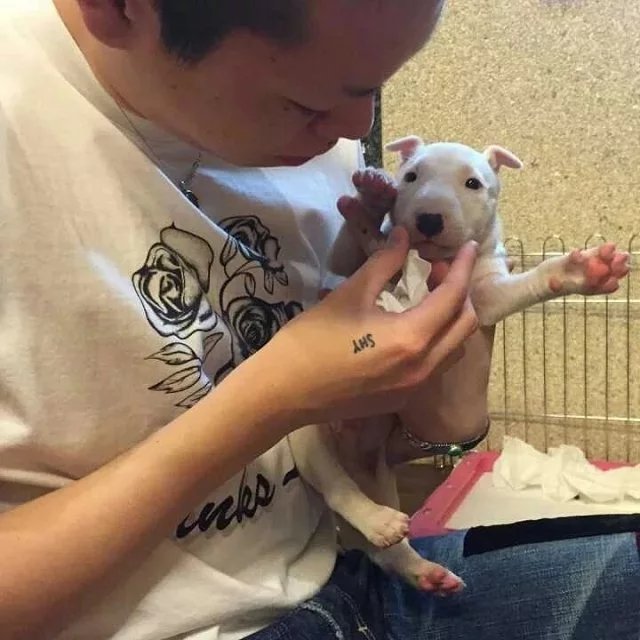 伊江秋馨