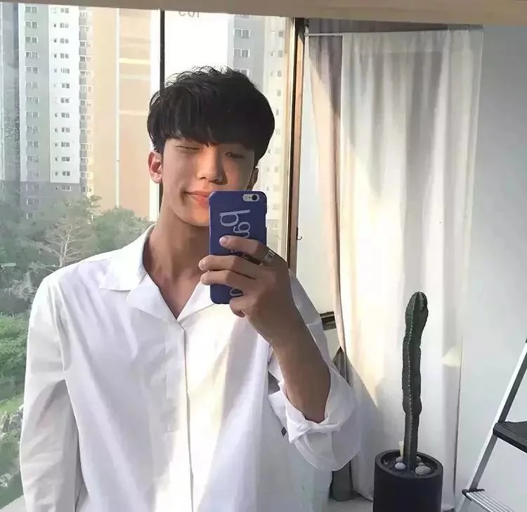 舒蓓福轮