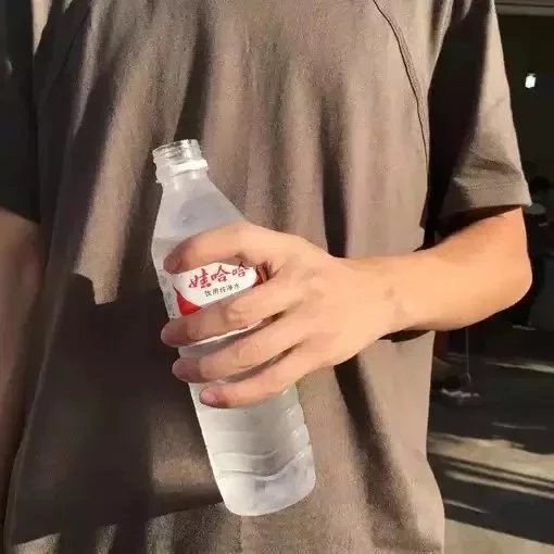 甘林琴龙